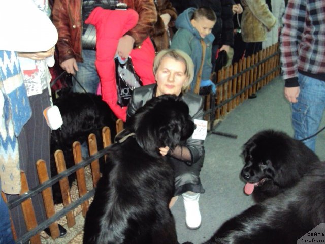 Фотография № 58015