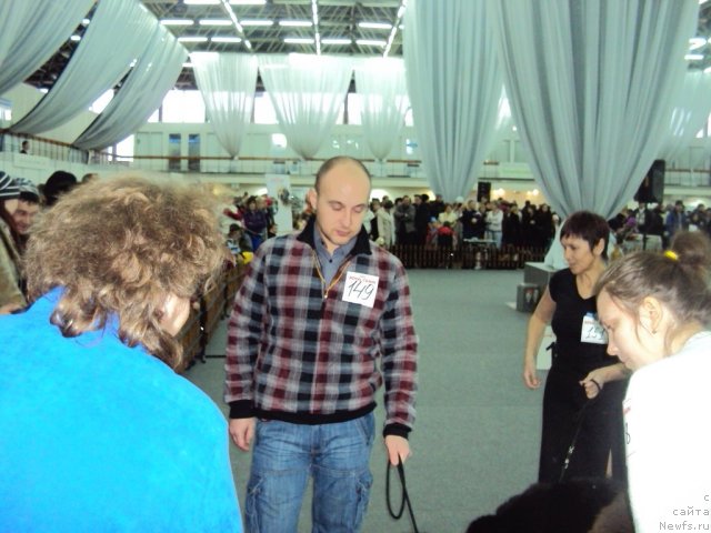 Фотография № 58017