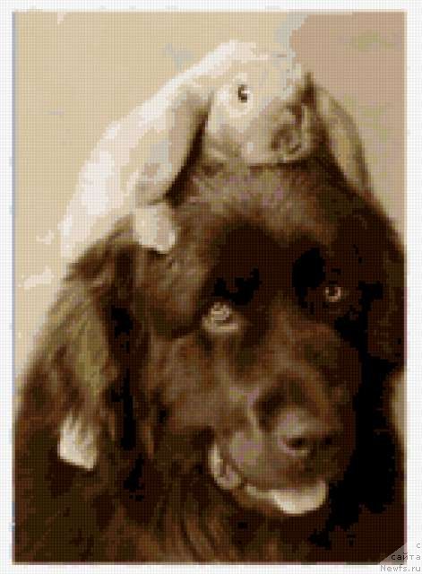 Фотография № 58024