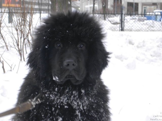 Фотография № 58025