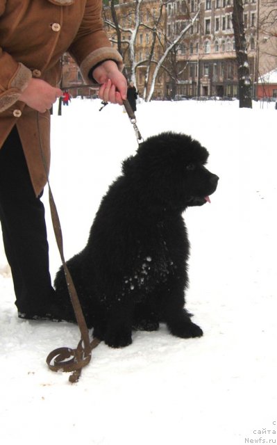 Фотография № 58027