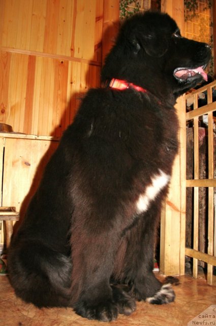 Фотография № 58033