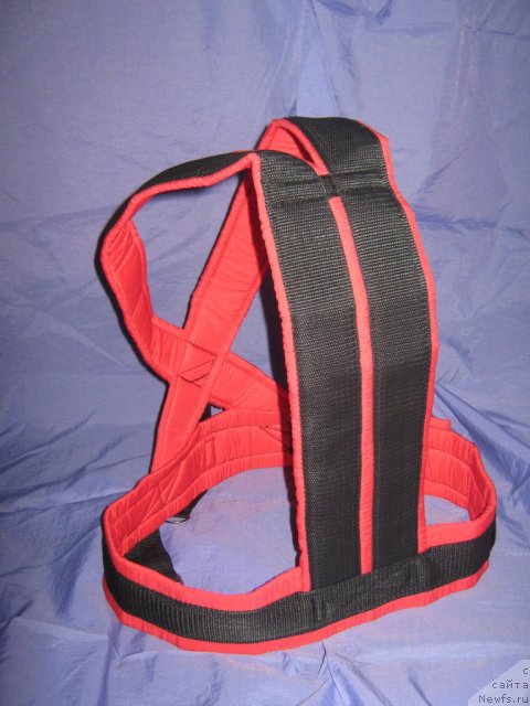 Фотография № 58069