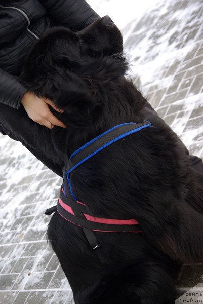 Фотография № 58073