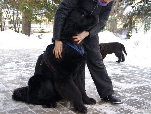 Фотография № 58075