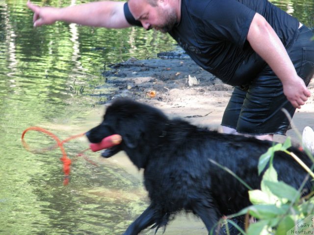 Фотография № 58095