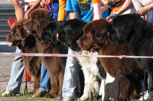 Фотография № 58099