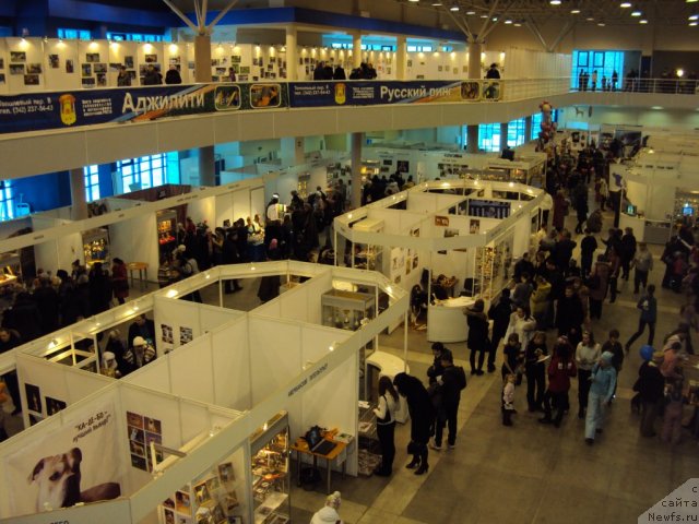 Фотография № 58110