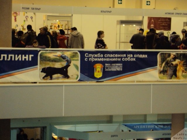 Фотография № 58111