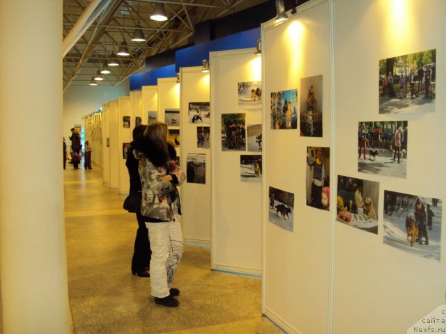 Фотография № 58112