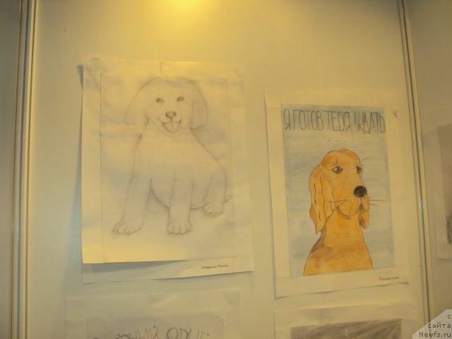 Фотография № 58116