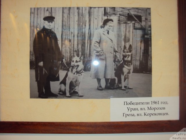 Фотография № 58120