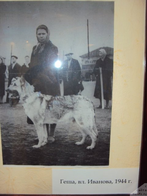 Фотография № 58122