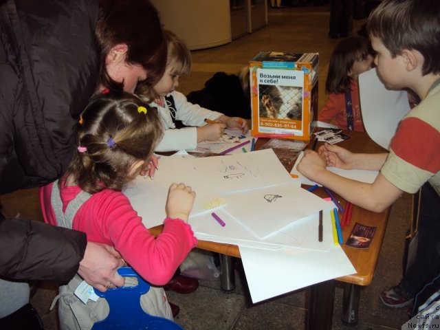 Фотография № 58123