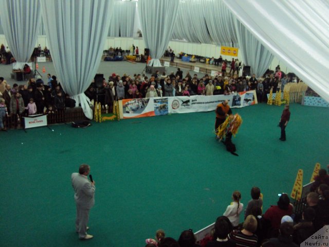 Фотография № 58126