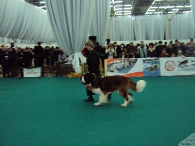 Фотография № 58127