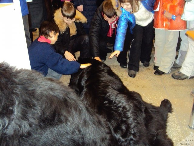 Фотография № 58130