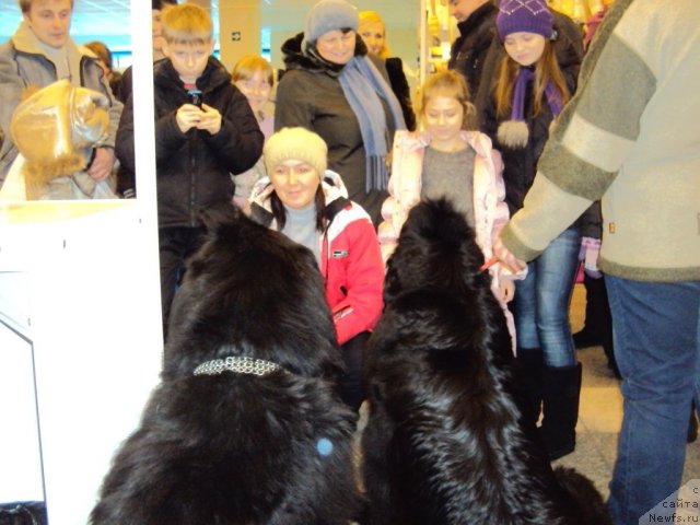 Фотография № 58131