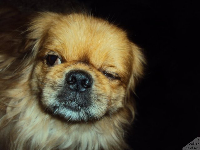 Фотография № 58132