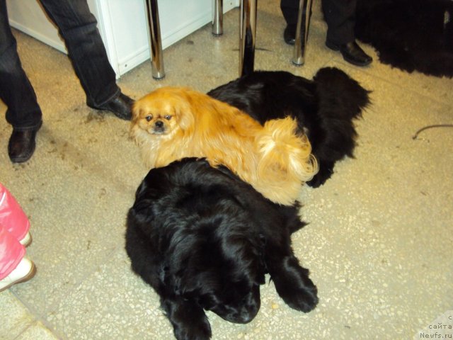 Фотография № 58135