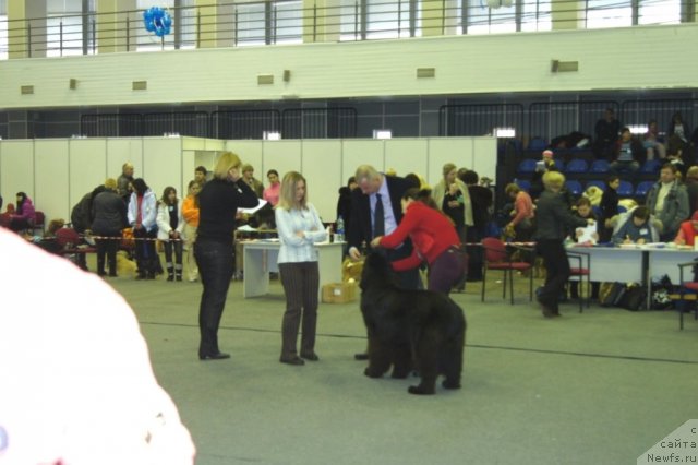 Фотография № 58138