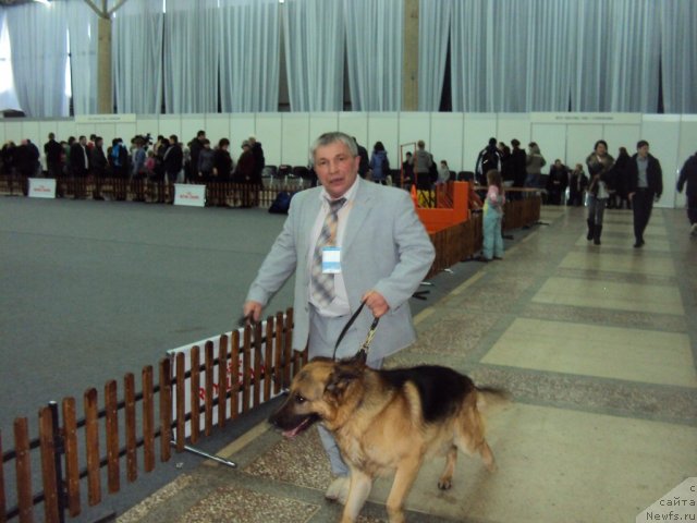 Фотография № 58139