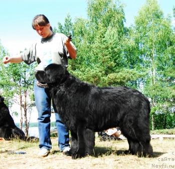 Фотография № 5814