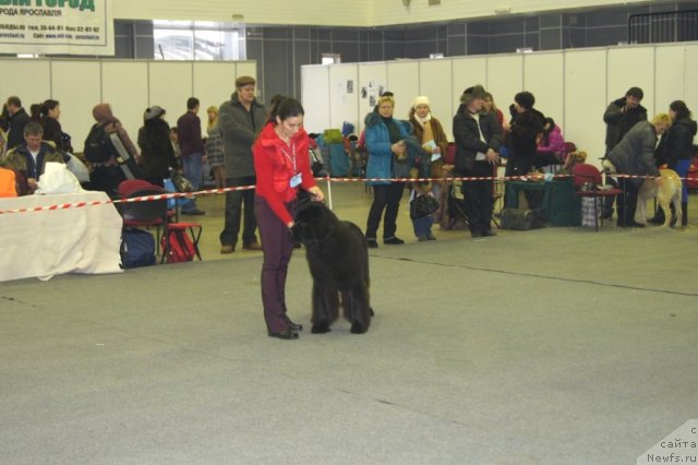 Фотография № 58140