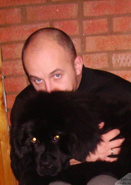 Фото: Алексей Нистратов, ньюфаундленд Их Высочество Владлена Маджикс