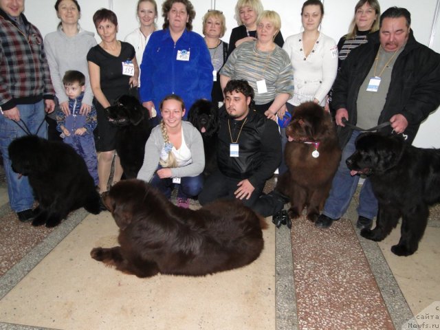 Фотография № 58169