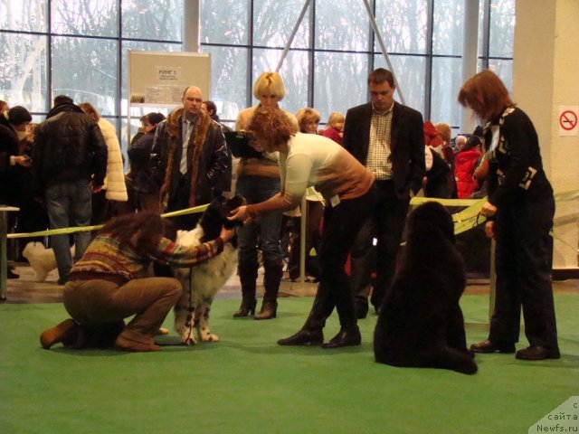 Фотография № 58171