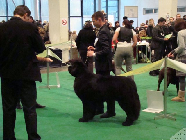 Фотография № 58175