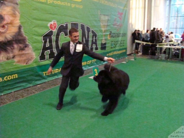 Фотография № 58176