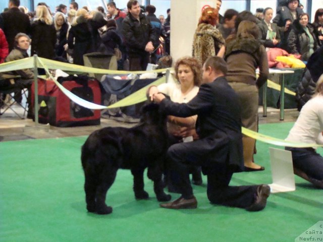 Фотография № 58177