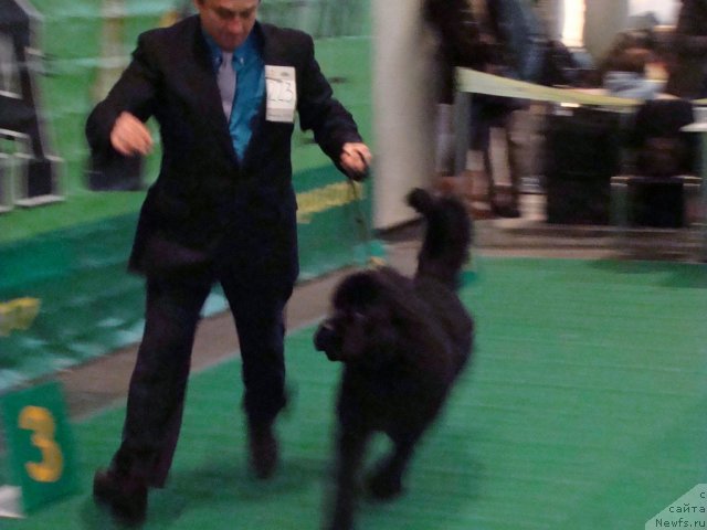 Фотография № 58178