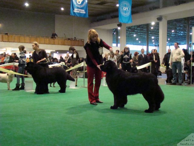 Фотография № 58180