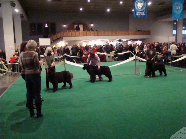 Фотография № 58181