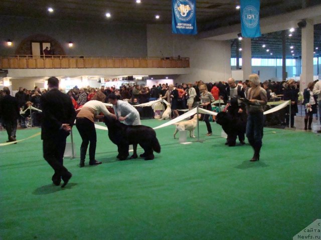 Фотография № 58183