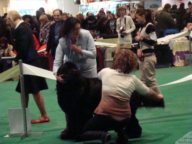 Фотография № 58184