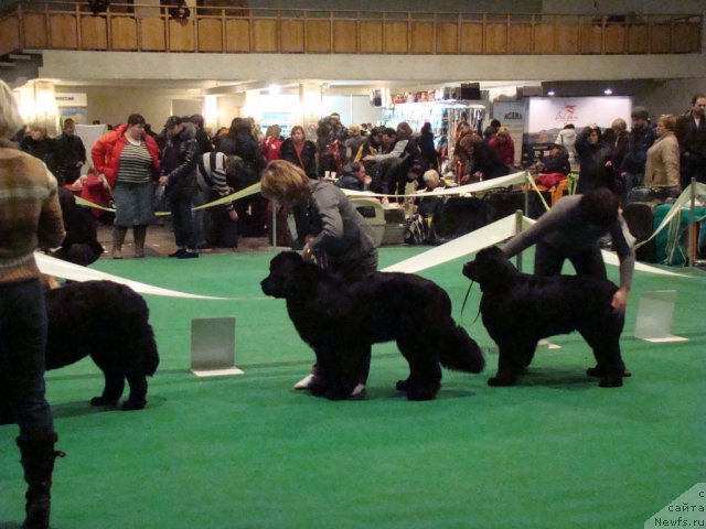 Фотография № 58187