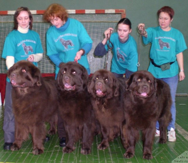 Фотография № 58196