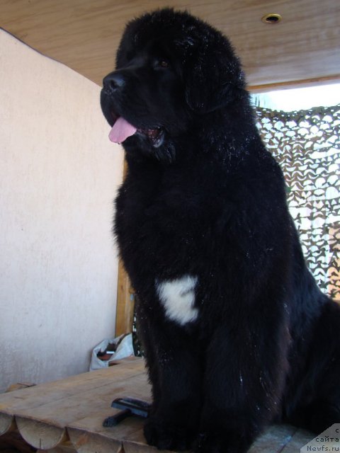 Фотография № 58214