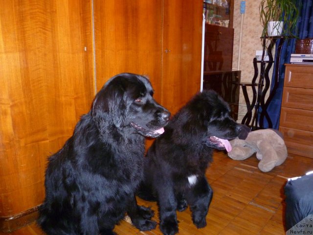 Фотография № 58267