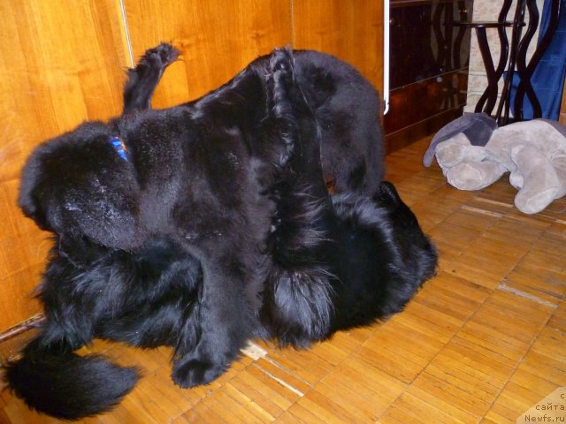 Фотография № 58268