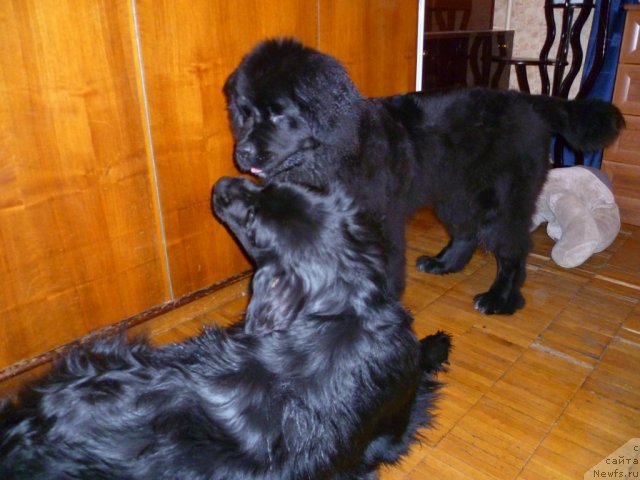 Фотография № 58269