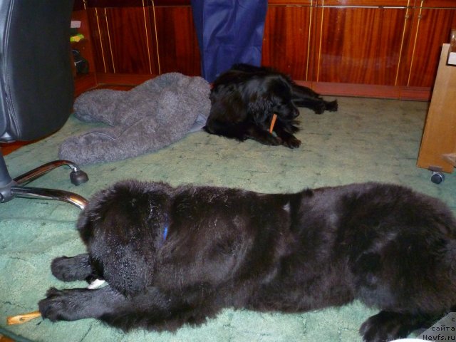 Фотография № 58270