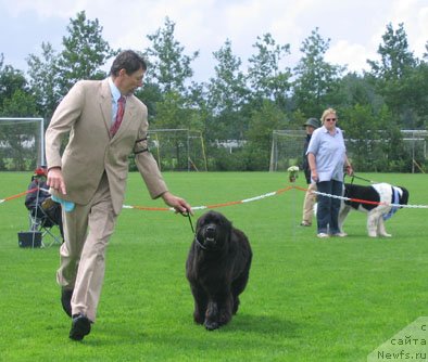 Фотография № 58277