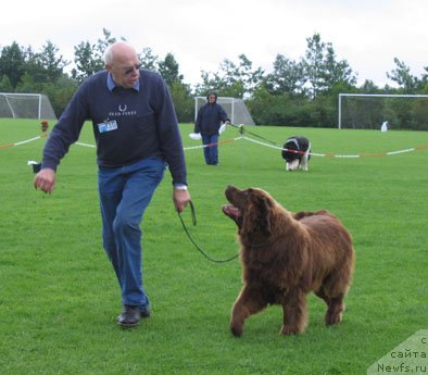 Фотография № 58278