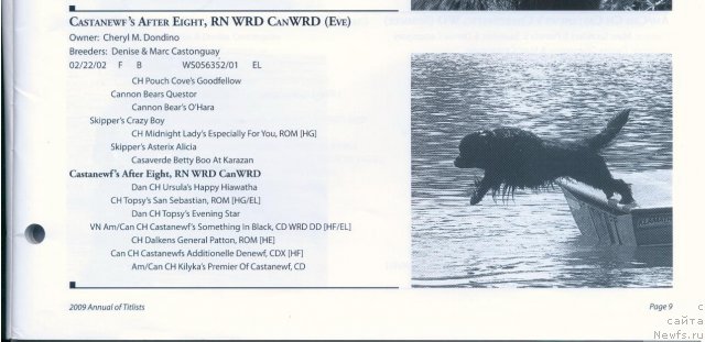 Фотография № 58297