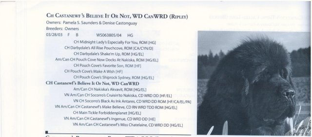 Фотография № 58298